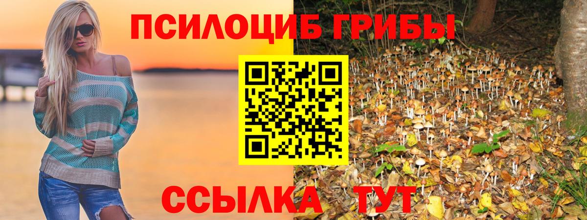 Псилоцибиновые грибы прущие грибы  Псилоцибиновые грибы прущие грибы  Вход с VPN  Мичуринск 